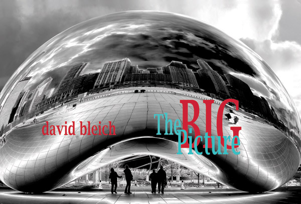 The Big Picture by David Bleich
