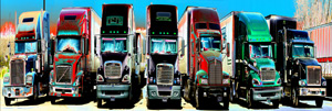 Trucks by David Bleich